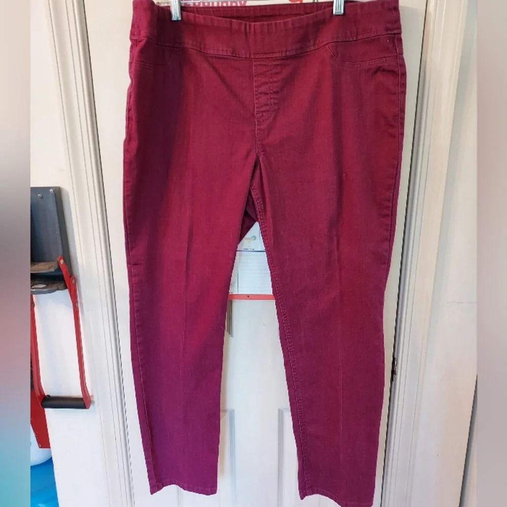 Style & Co. Pull On Fushia Jeggings in Size XL